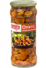 грибы опята